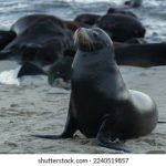 深入了解亚洲城ca88官方网站的游戏种类与用户体验 3nb7lpbfg