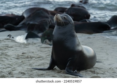 深入了解亚洲城ca88官方网站的游戏种类与用户体验 深入了解亚洲城ca88官方网站的游戏种类与用户体验