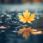 龙八国际app下载:畅享全球在线娱乐的最佳选择 7hqn2m0