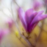 深入了解sbf888唯一登录网站的安全性与优势 kwrp0